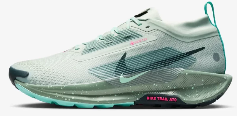 shoe