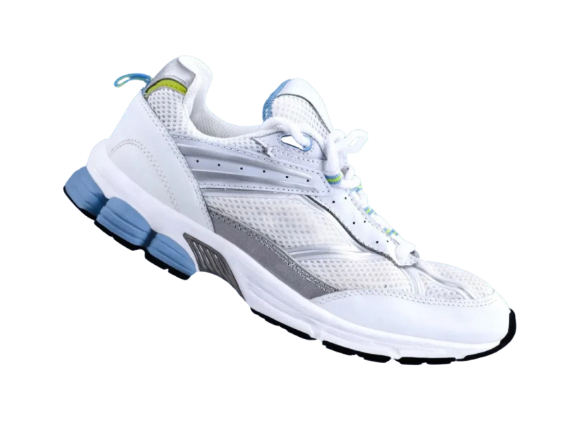 shoe
