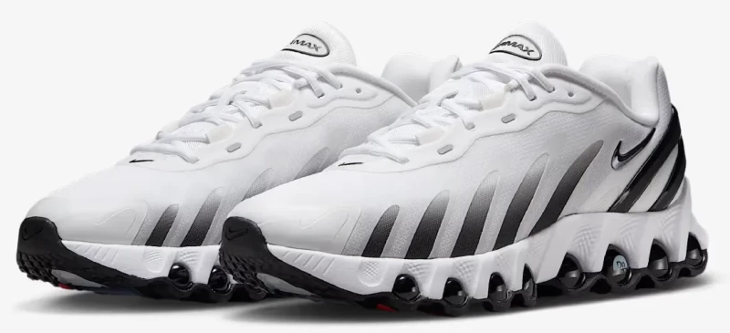 shoe